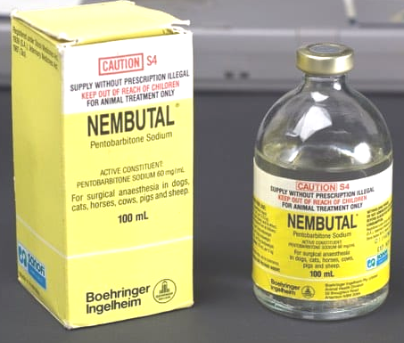 Buy Nembutal online