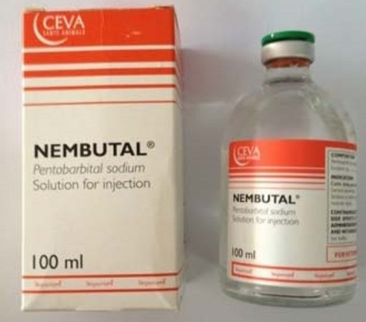 Buy Nembutal online